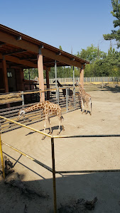 Zoo Nyíregyháza — fotografia 4