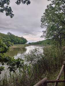 Lago Farneto del Principe