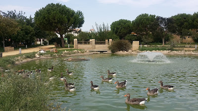Parque Municipal de Gines — fotografia 4