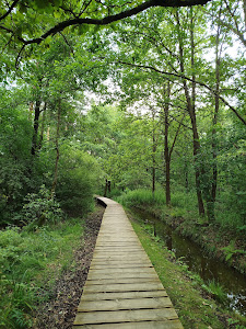 Glade with recreational place — fotografia 4