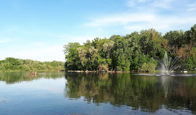 Tőserdő Holt Tisza — fotografia 4
