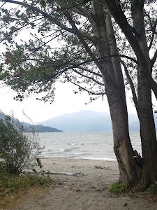 Spiaggia Selvaggia — fotografia 4