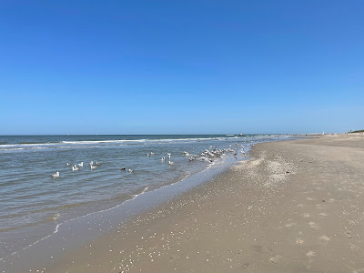 Monster Beach — fotografia 5