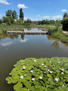 Parcul Salca