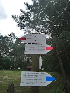 Polana Kanetowiec - Cysterski Park Krajobrazowy — fotografia 5