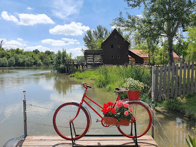 Water Edge-Runner Mill Jelka — fotografia 4