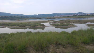 Naravni rezervat Škocjanski zatok — fotografia 3
