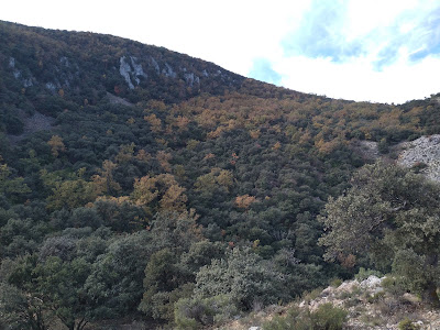Parque Natural del Carrascal de la Fuente Roja — fotografia 3