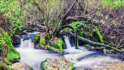 Inicio sendero rio Majaceite