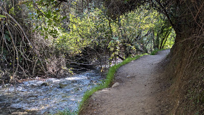 Sendero Río Majaceite — fotografia 5