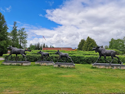 Norwegian Forestry Museum — fotografia 5