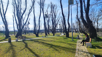 Parcul Micălaca Zona 300