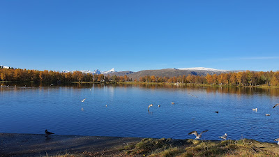 Prestvannet — fotografia 4