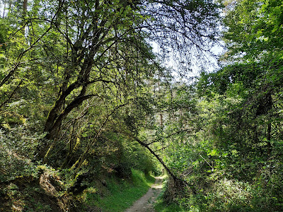 Belabarze Waterfall — fotografia 5