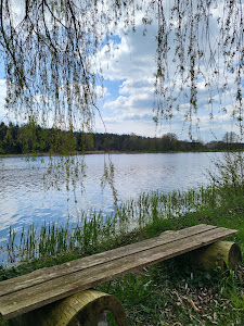 Sonnensee — fotografia 5