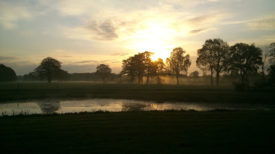 Camping De Appelweide — fotografia 3