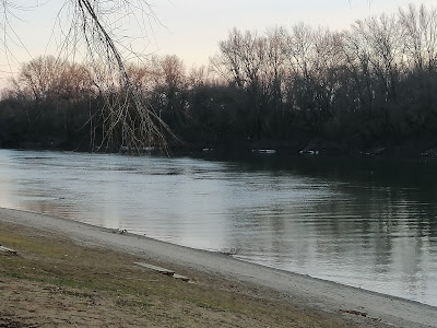 Tisza Beach — fotografia 3