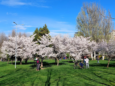 Parcul "Lumea Copiilor" — fotografia 3