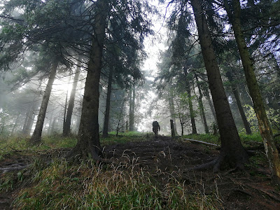 Waligóra — fotografia 5