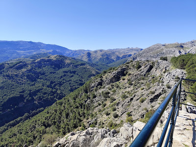 Mirador del Guarda Forestal — fotografia 5