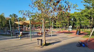 Parc Pădurice — fotografia 3