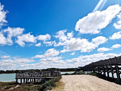 Toruños y la Algaida Park — fotografia 3