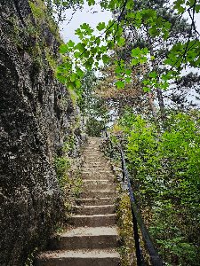 Ieșire Peștera Muierilor — fotografia 5