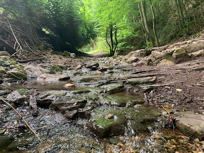 Bodzás-forrás