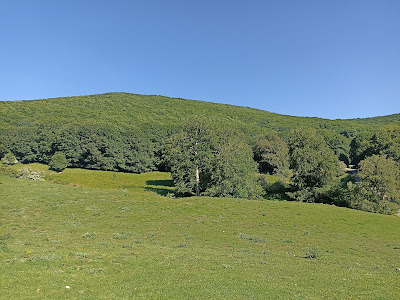 Parco Regionale del Taburno-Camposauro — fotografia 3