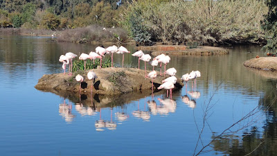 Cañada de los Pájaros — fotografia 4