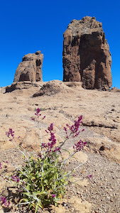 Roque Nublo — fotografia 5