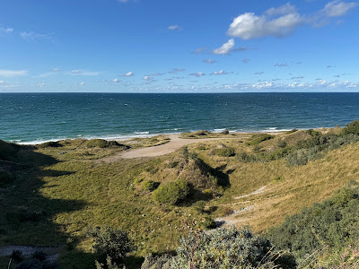Klintebjerg - Klint