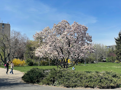 Parcul Circului — fotografia 4