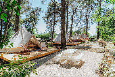 Camp Dvor — fotografia 5