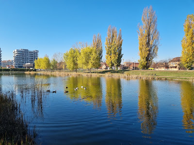 Parcul Salca — fotografia 5
