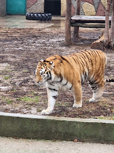 Grădina Zoologică a Parcului „Nicolae Romanescu” — fotografia 4