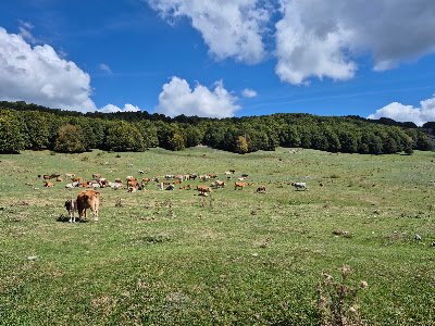 Area picnic Monte Livata
