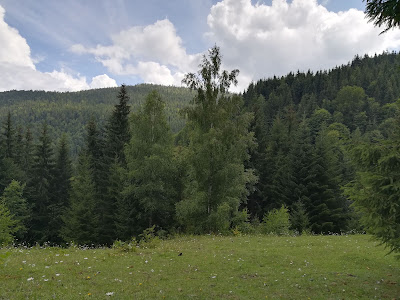 Cascada Buciniș, sat Pătrăhăițești — fotografia 4