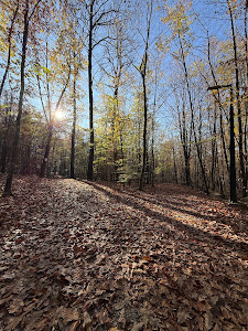 Park-šuma Slatina — fotografia 5