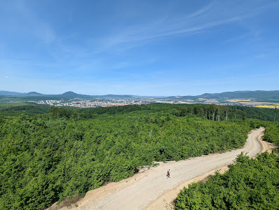 Malkovská hôrka — fotografia 5