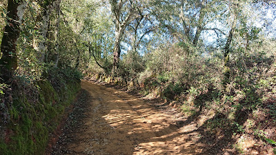 Sendero de los Castañares — fotografia 4
