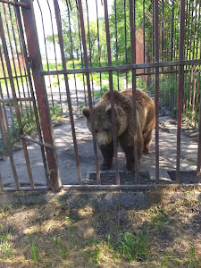 Miki Zoo — fotografia 5
