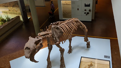 State Museum of Natural History Stuttgart — fotografia 2