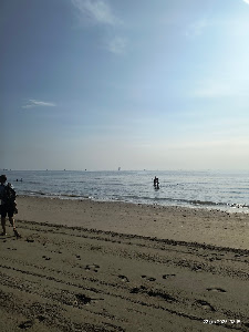 Spiaggia libera — fotografia 3