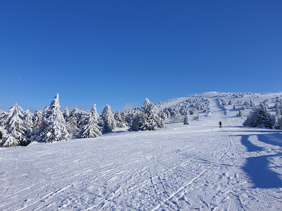 Kopaonik National Park — fotografia 5