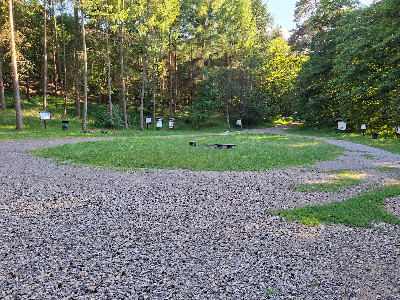 Miejsce na ognisko i biwak. — fotografia 3