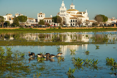 Parcul Național Doñana — fotografia 4