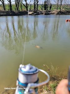 Lago Pascoli — fotografia 5