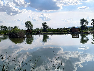 Damira Resort