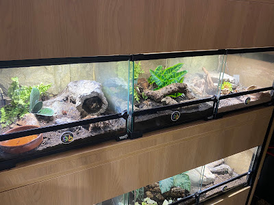 Snakeroom Serpentarium — fotografia 5